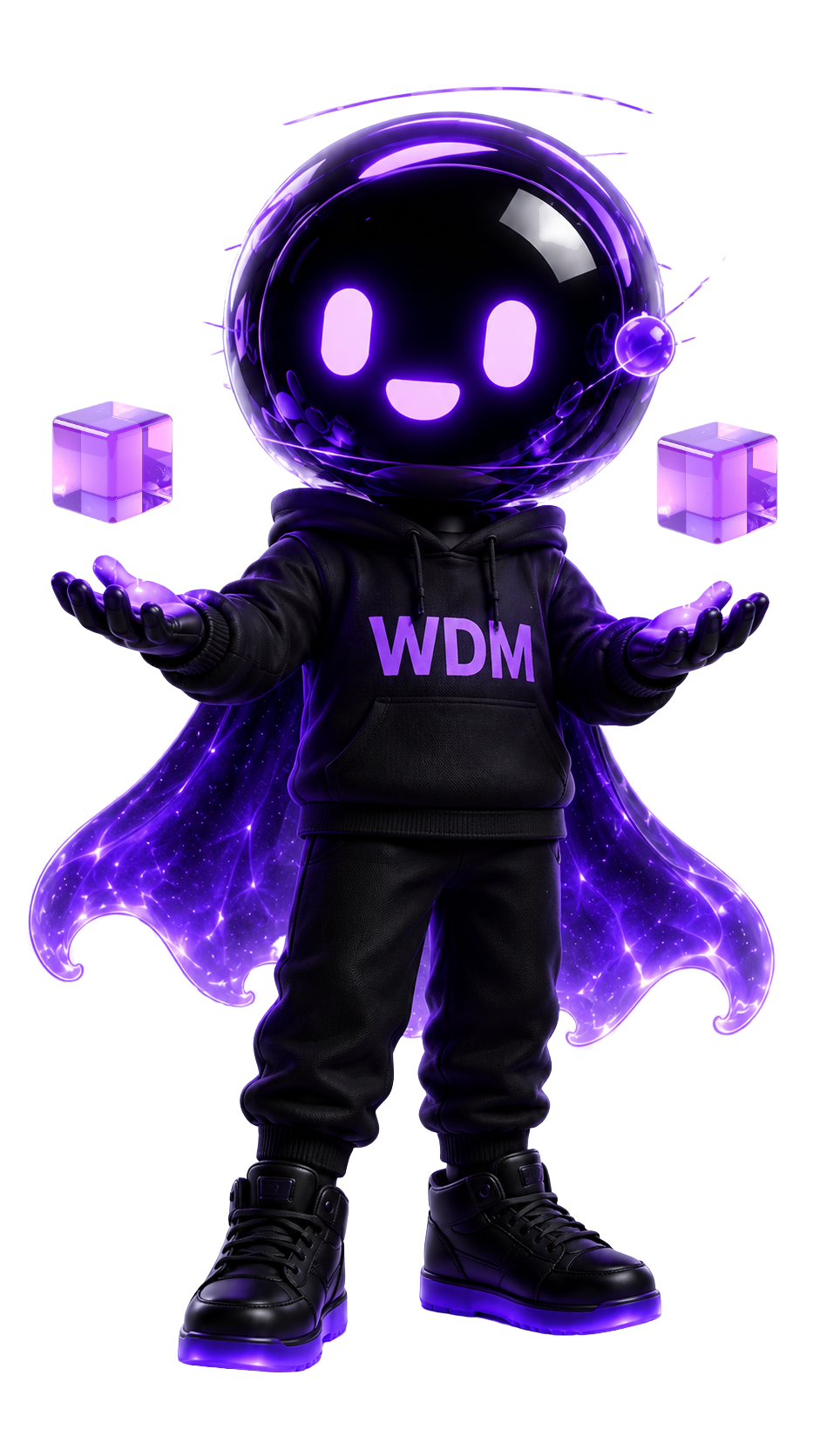 WDM mascot presenting our work